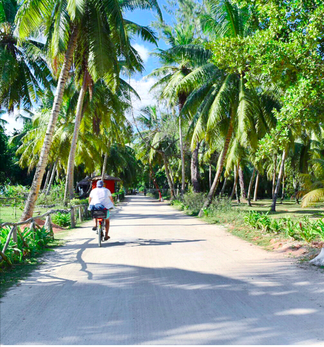 screen-shot-2016-11-01-at-11-07-29-pm