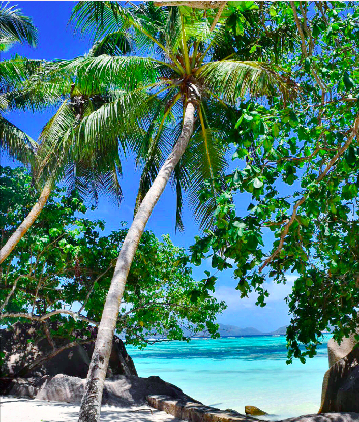 screen-shot-2016-11-01-at-11-11-17-pm-1