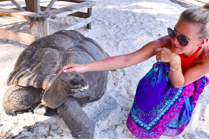 screen-shot-2016-11-01-at-11-40-51-pm